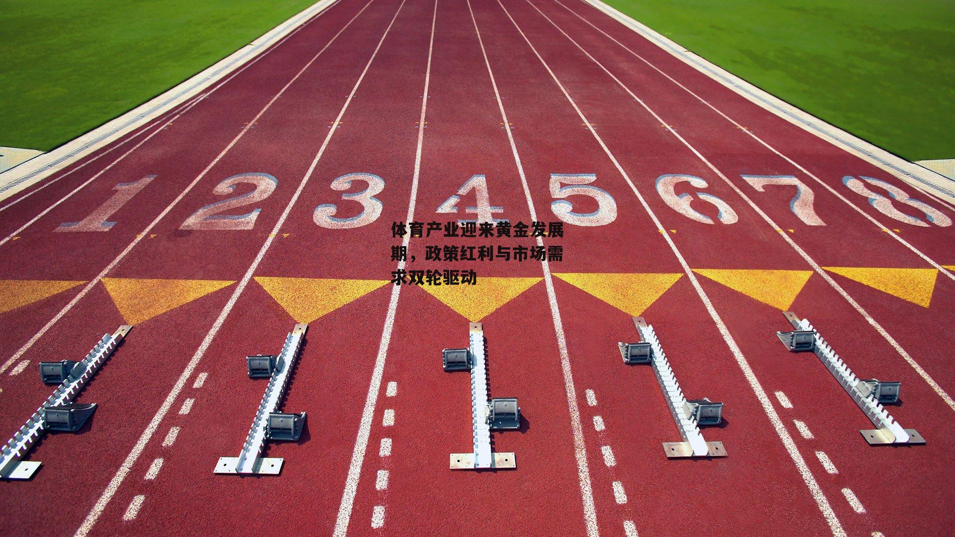 体育产业迎来黄金发展期，政策红利与市场需求双轮驱动